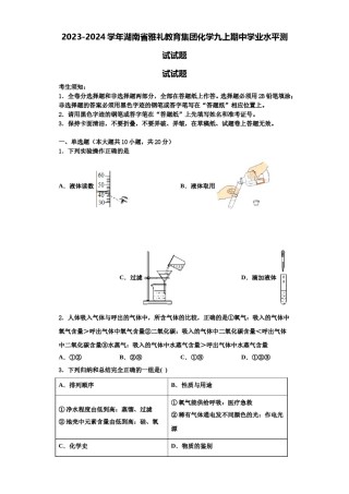 2023-2024学年湖南省雅礼教育集团化学九上期中学业水平测试试题含解析.doc