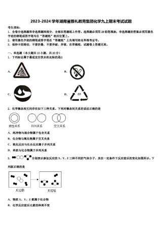 2023-2024学年湖南省雅礼教育集团化学九上期末考试试题含解析.doc