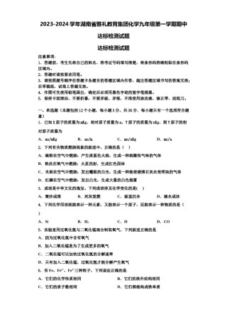 2023-2024学年湖南省雅礼教育集团化学九年级第一学期期中达标检测试题含解析.doc