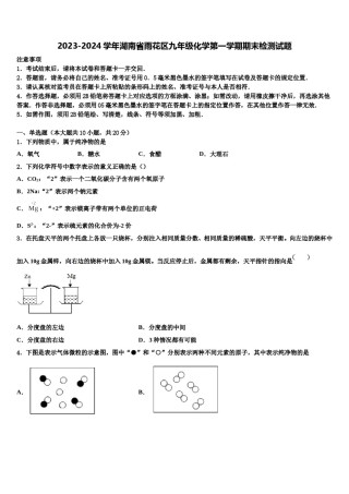 2023-2024学年湖南省雨花区九年级化学第一学期期末检测试题含解析.doc