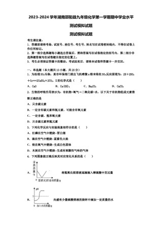2023-2024学年湖南邵阳县九年级化学第一学期期中学业水平测试模拟试题含解析.doc