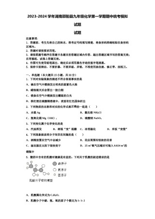 2023-2024学年湖南邵阳县九年级化学第一学期期中统考模拟试题含解析.doc
