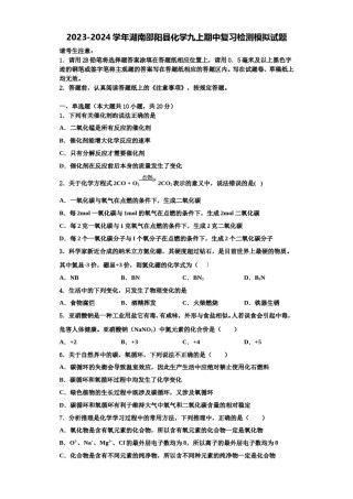 2023-2024学年湖南邵阳县化学九上期中复习检测模拟试题含解析.doc