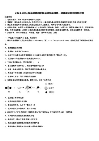 2023-2024学年湖南邵阳县化学九年级第一学期期末监测模拟试题含解析.doc
