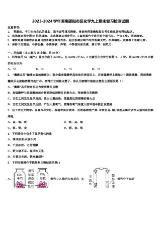 2023-2024学年湖南邵阳市区化学九上期末复习检测试题含解析.doc