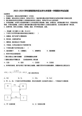 2023-2024学年湖南邵阳市区化学九年级第一学期期末考试试题含解析.doc