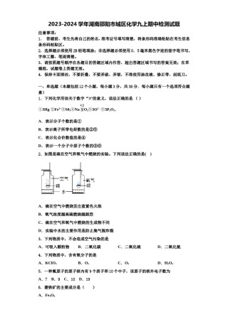 2023-2024学年湖南邵阳市城区化学九上期中检测试题含解析.doc