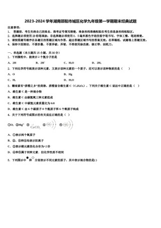 2023-2024学年湖南邵阳市城区化学九年级第一学期期末经典试题含解析.doc