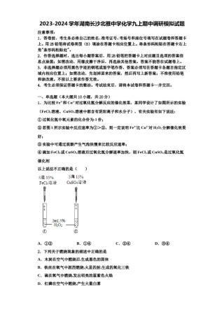 2023-2024学年湖南长沙北雅中学化学九上期中调研模拟试题含解析.doc