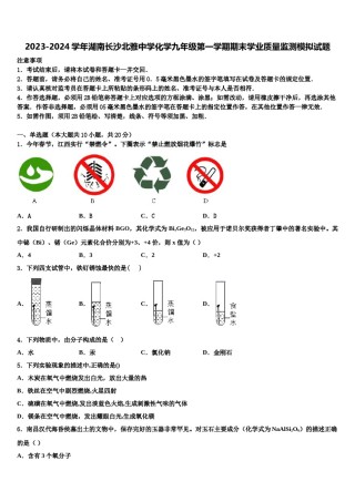 2023-2024学年湖南长沙北雅中学化学九年级第一学期期末学业质量监测模拟试题含解析.doc