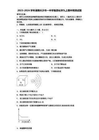 2023-2024学年湖南长沙市一中学集团化学九上期中预测试题含解析.doc