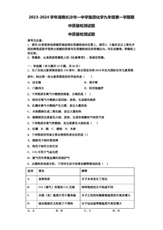 2023-2024学年湖南长沙市一中学集团化学九年级第一学期期中质量检测试题含解析.doc