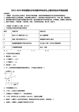 2023-2024学年湖南长沙市北雅中学化学九上期末学业水平测试试题含解析.doc