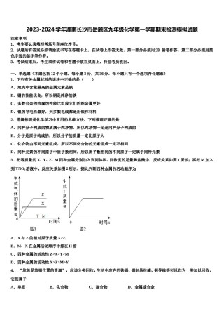 2023-2024学年湖南长沙市岳麓区九年级化学第一学期期末检测模拟试题含解析.doc