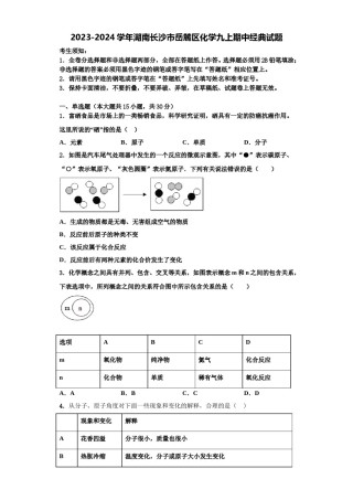 2023-2024学年湖南长沙市岳麓区化学九上期中经典试题含解析.doc