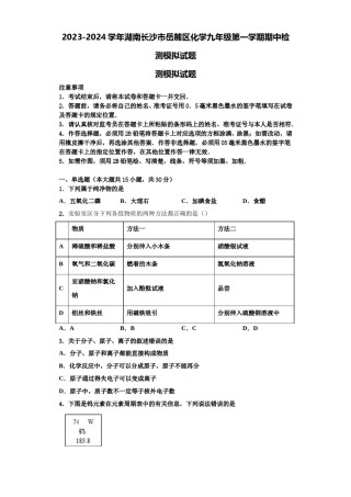 2023-2024学年湖南长沙市岳麓区化学九年级第一学期期中检测模拟试题含解析.doc
