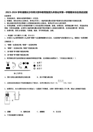 2023-2024学年湖南长沙市师大附中教育集团九年级化学第一学期期末综合测试试题含解析.doc