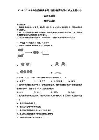 2023-2024学年湖南长沙市师大附中教育集团化学九上期中综合测试试题含解析.doc