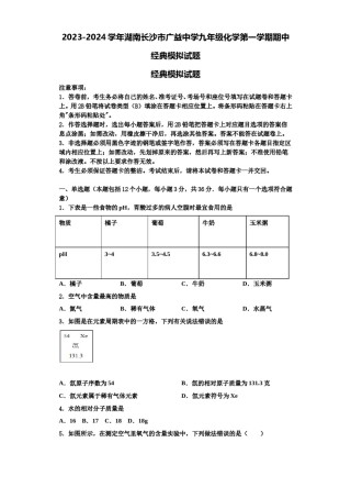 2023-2024学年湖南长沙市广益中学九年级化学第一学期期中经典模拟试题含解析.doc