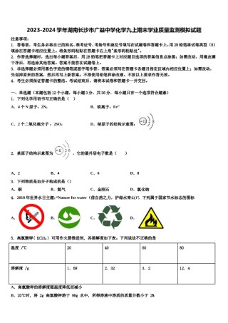 2023-2024学年湖南长沙市广益中学化学九上期末学业质量监测模拟试题含解析.doc