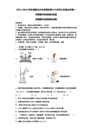 2023-2024学年湖南长沙市芙蓉区第十六中学九年级化学第一学期期中检测模拟试题含解析.doc