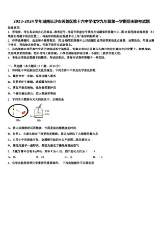 2023-2024学年湖南长沙市芙蓉区第十六中学化学九年级第一学期期末联考试题含解析.doc