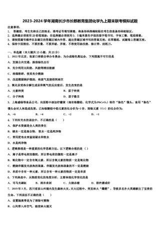 2023-2024学年湖南长沙市长郡教育集团化学九上期末联考模拟试题含解析.doc