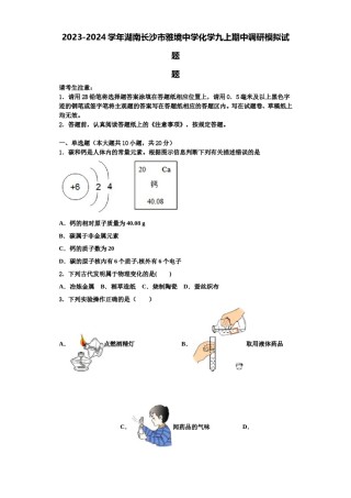 2023-2024学年湖南长沙市雅境中学化学九上期中调研模拟试题含解析.doc