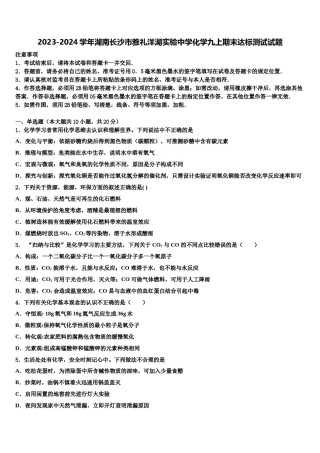 2023-2024学年湖南长沙市雅礼洋湖实验中学化学九上期末达标测试试题含解析.doc