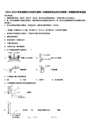 2023-2024学年湖南长沙市青竹湖湘一外国语学校化学九年级第一学期期末联考试题含解析.doc