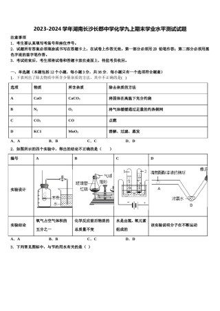2023-2024学年湖南长沙长郡中学化学九上期末学业水平测试试题含解析.doc