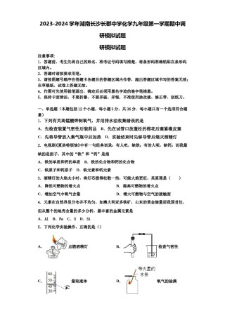 2023-2024学年湖南长沙长郡中学化学九年级第一学期期中调研模拟试题含解析.doc