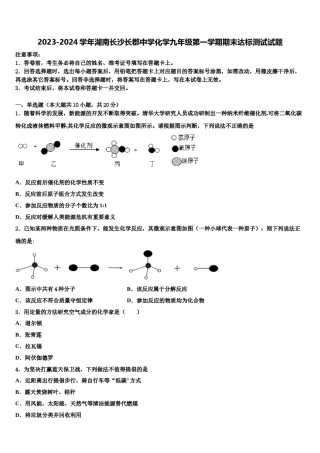 2023-2024学年湖南长沙长郡中学化学九年级第一学期期末达标测试试题含解析.doc
