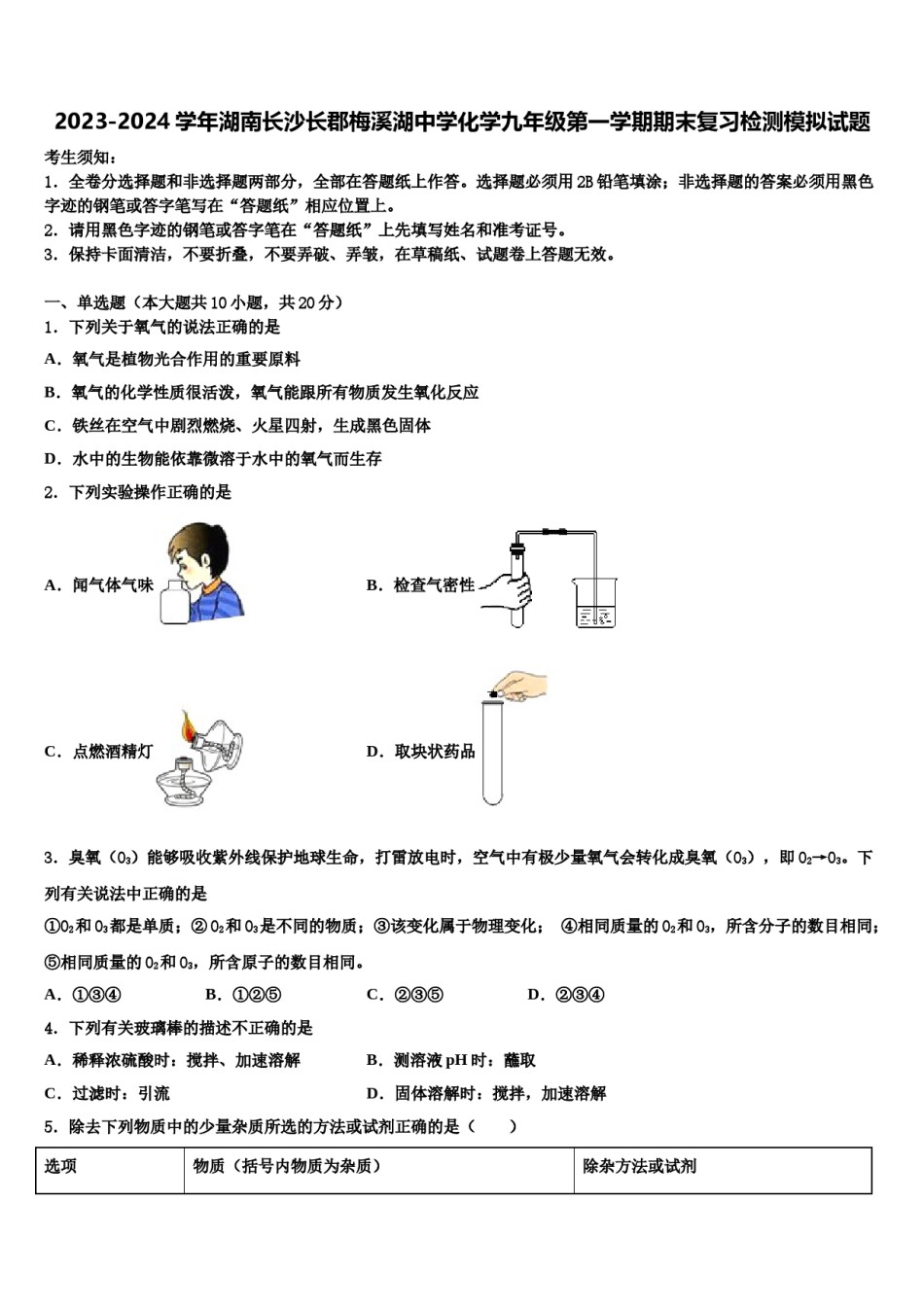 2023-2024学年湖南长沙长郡梅溪湖中学化学九年级第一学期期末复习检测模拟试题含解析.doc_第1页