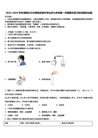2023-2024学年湖南长沙长郡梅溪湖中学化学九年级第一学期期末复习检测模拟试题含解析.doc