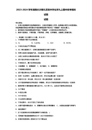 2023-2024学年湖南长沙雅礼实验中学化学九上期中统考模拟试题含解析.doc