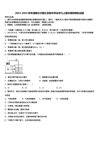 2023-2024学年湖南长沙雅礼实验中学化学九上期末调研模拟试题含解析.doc