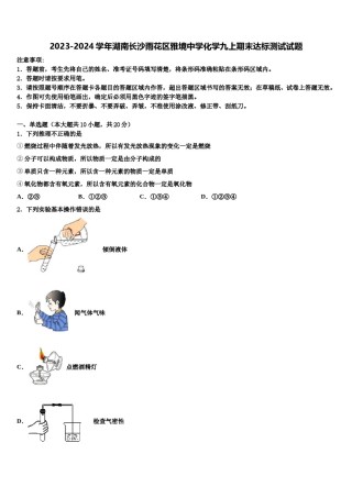 2023-2024学年湖南长沙雨花区雅境中学化学九上期末达标测试试题含解析.doc