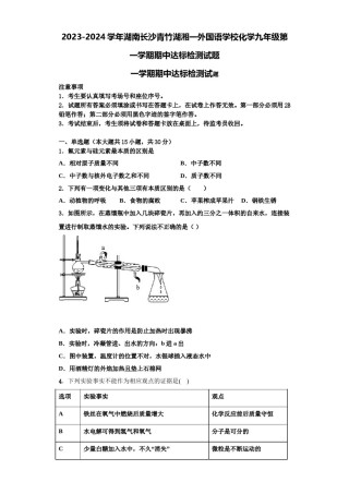 2023-2024学年湖南长沙青竹湖湘一外国语学校化学九年级第一学期期中达标检测试题含解析.doc