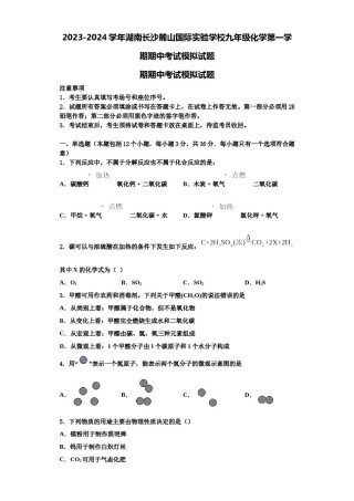 2023-2024学年湖南长沙麓山国际实验学校九年级化学第一学期期中考试模拟试题含解析.doc