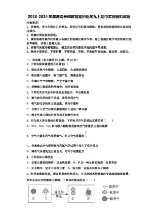 2023-2024学年湖南长郡教育集团化学九上期中监测模拟试题含解析.doc