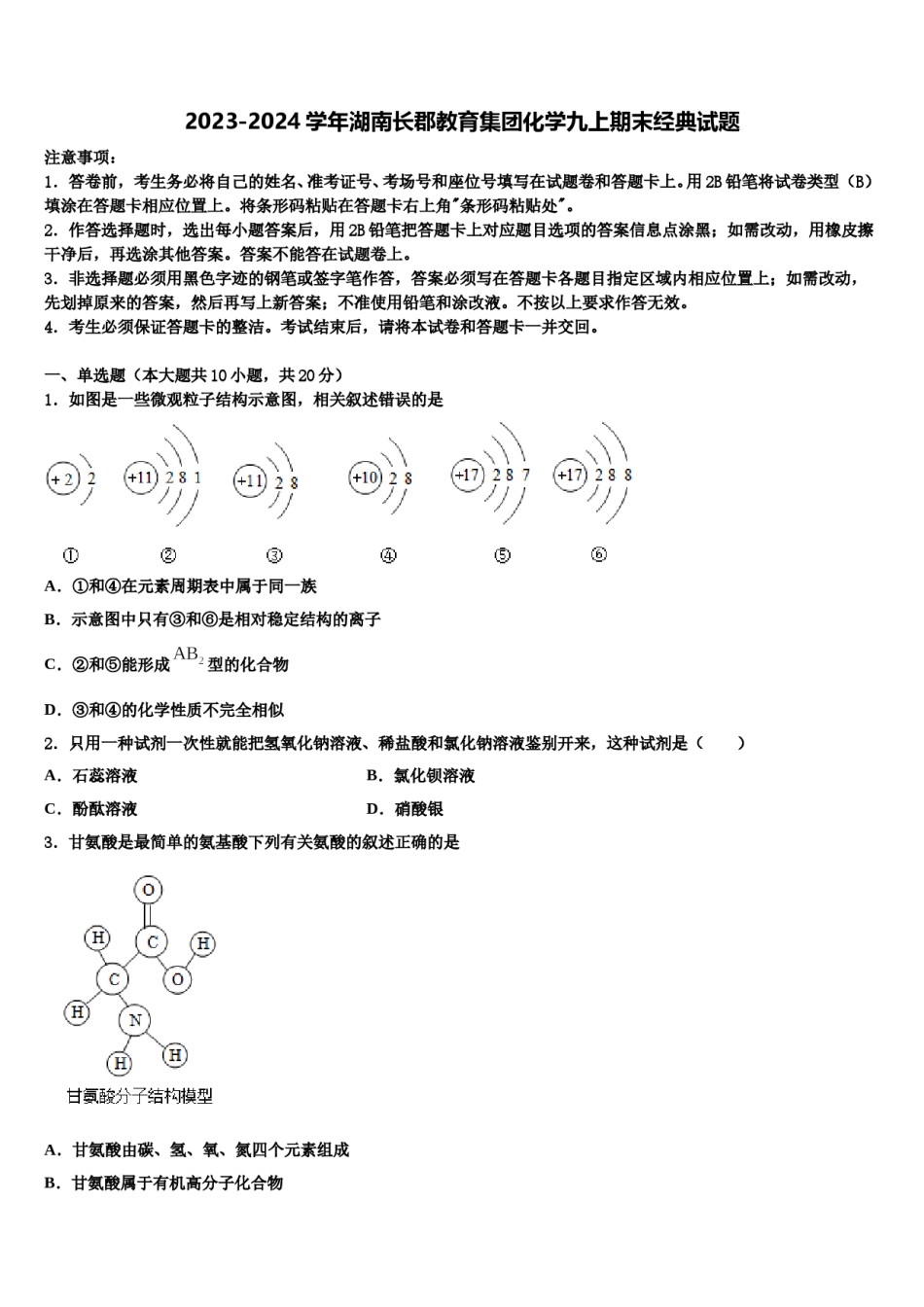 2023-2024学年湖南长郡教育集团化学九上期末经典试题含解析.doc_第1页