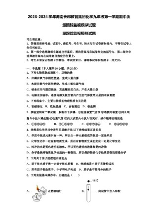 2023-2024学年湖南长郡教育集团化学九年级第一学期期中质量跟踪监视模拟试题含解析.doc
