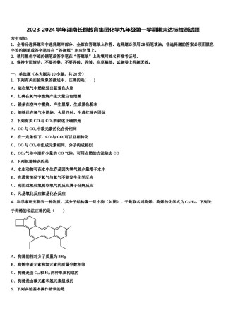2023-2024学年湖南长郡教育集团化学九年级第一学期期末达标检测试题含解析.doc