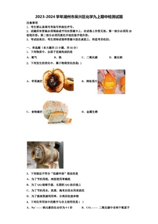 2023-2024学年湖州市吴兴区化学九上期中检测试题含解析.doc