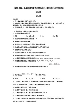 2023-2024学年湘潭市重点中学化学九上期中学业水平测试模拟试题含解析.doc