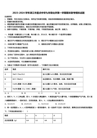 2023-2024学年湛江市重点中学九年级化学第一学期期末联考模拟试题含解析.doc