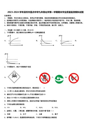2023-2024学年滨州市重点中学九年级化学第一学期期末学业质量监测模拟试题含解析.doc