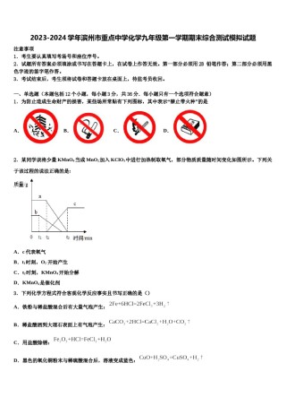2023-2024学年滨州市重点中学化学九年级第一学期期末综合测试模拟试题含解析.doc
