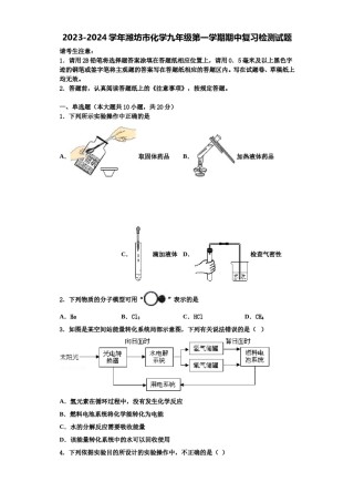 2023-2024学年潍坊市化学九年级第一学期期中复习检测试题含解析.doc